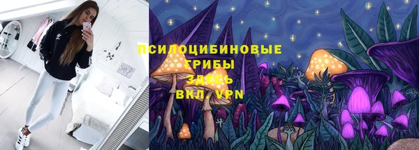 прущая мука Армянск