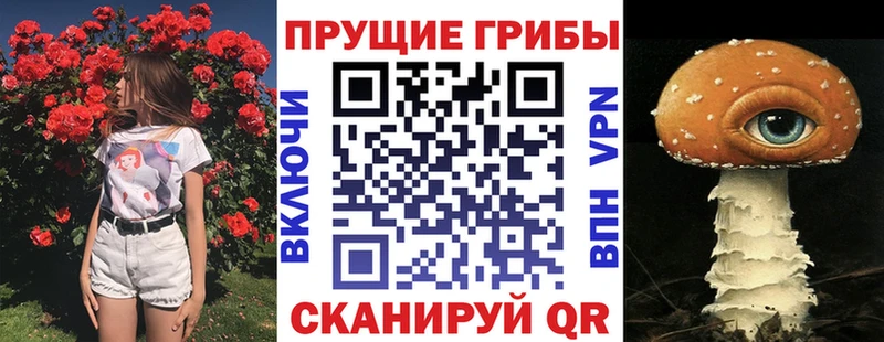 Псилоцибиновые грибы Cubensis  Брянск 